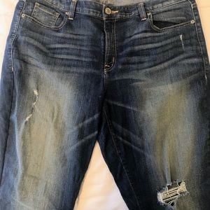 Lane Bryant Distressed Ripped Jeans